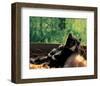 Cat Taking A Break-null-Framed Art Print