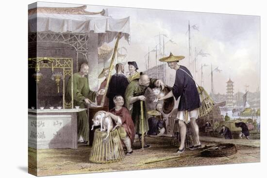 Cat Tea Merchants-Thomas Allom-Stretched Canvas