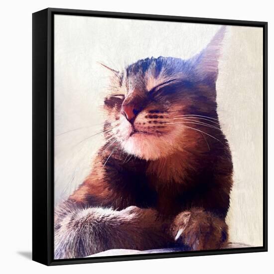Cat That Got The Cream, 2018,-Helen White-Framed Stretched Canvas