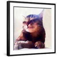 Cat That Got The Cream, 2018,-Helen White-Framed Giclee Print