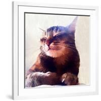 Cat That Got The Cream, 2018,-Helen White-Framed Giclee Print