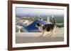 Cat,Tortoiseshell and White, Town in Background-null-Framed Photographic Print