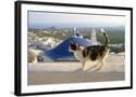 Chelsea Black