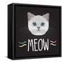 Cat Typography, T-Shirt Graphics , Vectors-PatternTrends-Framed Stretched Canvas