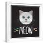 Cat Typography, T-Shirt Graphics , Vectors-PatternTrends-Framed Art Print
