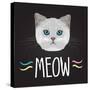 Cat Typography, T-Shirt Graphics , Vectors-PatternTrends-Stretched Canvas