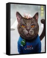 Cat Uber-Lucia Heffernan-Framed Stretched Canvas