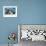 Cat under Blacket-Sarah Stribbling-Framed Art Print displayed on a wall