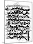 'Cat Violin Score' by Moritz von Schwind-Moritz Ludwig von Schwind-Mounted Giclee Print