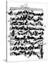 'Cat Violin Score' by Moritz von Schwind-Moritz Ludwig von Schwind-Stretched Canvas