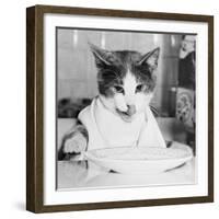 Cat Waiting to Eat-null-Framed Photographic Print