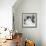 Cat Waiting to Eat-null-Framed Photographic Print displayed on a wall