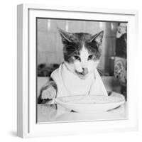 Cat Waiting to Eat-null-Framed Photographic Print