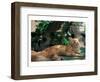 Cat Waking From Midday Rest-null-Framed Art Print