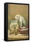 Cat Watching Frog and Fish-null-Framed Stretched Canvas