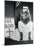 Cat Wearing Nurse Uniform-null-Mounted Photographic Print