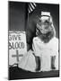 Cat Wearing Nurse Uniform-null-Mounted Photographic Print