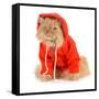 Cat Wearing Red Coat-Willee Cole-Framed Stretched Canvas