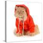 Cat Wearing Red Coat-Willee Cole-Stretched Canvas