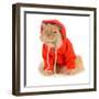 Cat Wearing Red Coat-Willee Cole-Framed Photographic Print