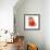 Cat Wearing Red Coat-Willee Cole-Framed Photographic Print displayed on a wall