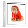 Cat Wearing Red Coat-Willee Cole-Framed Photographic Print