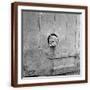 Brown Frame