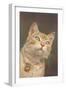 Cat with Bell-null-Framed Art Print