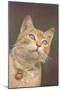 Cat with Bell-null-Mounted Art Print