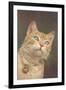 Cat with Bell-null-Framed Art Print