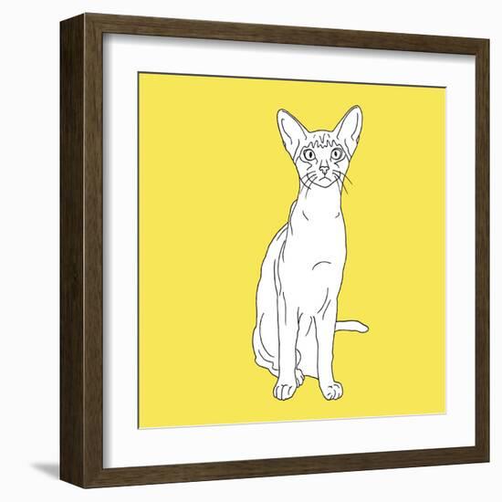 Cat With Big Ears-Anna Nyberg-Framed Art Print