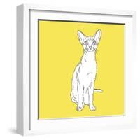 Cat With Big Ears-Anna Nyberg-Framed Art Print