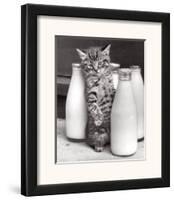 Cat with Bottles of Milk-Paul Kaye-Framed Art Print