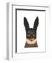Cat with Bunny Mask-Fab Funky-Framed Art Print