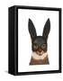 Cat with Bunny Mask-Fab Funky-Framed Stretched Canvas