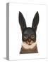 Cat with Bunny Mask-Fab Funky-Stretched Canvas