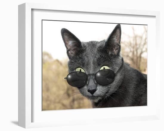 Cat With Glasses-Veniamin Kraskov-Framed Photographic Print