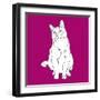 Cat With Head To One Side-Anna Nyberg-Framed Art Print