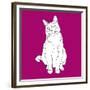 Cat With Head To One Side-Anna Nyberg-Framed Giclee Print