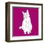 Cat With Head To One Side-Anna Nyberg-Framed Giclee Print