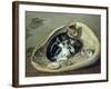 Cat with Her Kittens in a Basket, 1797-Samuel de Wilde-Framed Giclee Print