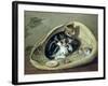 Cat with Her Kittens in a Basket, 1797-Samuel de Wilde-Framed Giclee Print