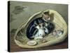 Cat with Her Kittens in a Basket, 1797-Samuel de Wilde-Stretched Canvas