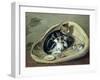 Cat with Her Kittens in a Basket, 1797-Samuel de Wilde-Framed Giclee Print