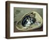 Cat with Her Kittens in a Basket, 1797-Samuel de Wilde-Framed Giclee Print