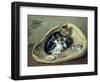 Cat with Her Kittens in a Basket, 1797-Samuel de Wilde-Framed Giclee Print