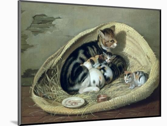 Cat with Her Kittens in a Basket, 1797-Samuel de Wilde-Mounted Giclee Print
