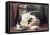 Cat with Her Kittens on a Cushion-Henriette Ronner-Knip-Framed Stretched Canvas