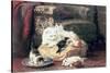 Cat with Her Kittens on a Cushion-Henriette Ronner-Knip-Stretched Canvas