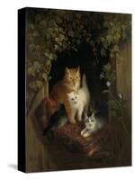 Cat with Kittens, Henritte Ronner-Henriette Ronner-Stretched Canvas